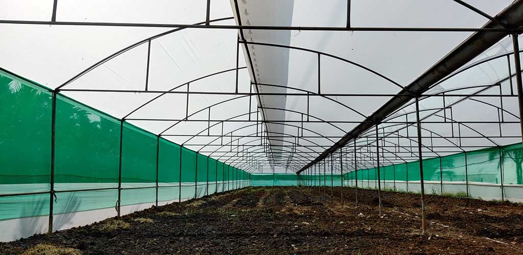 polyhouse-sheet-or-greenhouse-covering-film