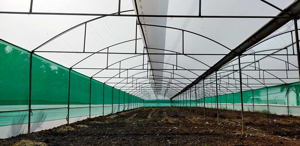 polyhouse-sheet-or-greenhouse-covering-film Davangere