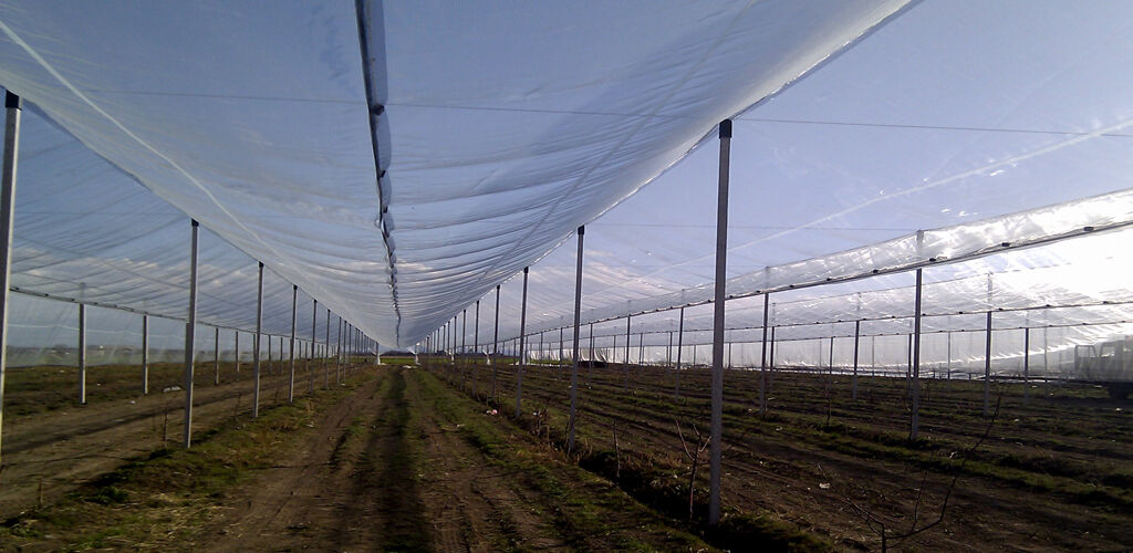 anti-hail-net Davangere