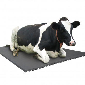 Our Products cow mat 2