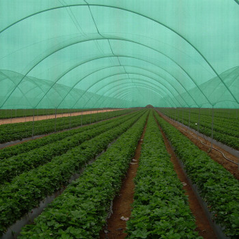 Our Products SHADE NET (2)